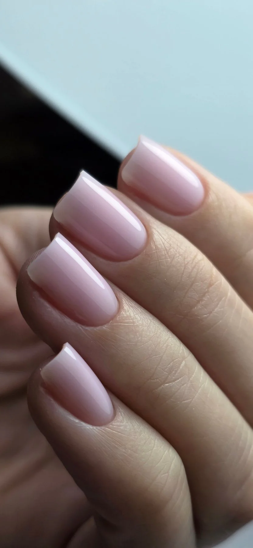 Easy gel Cutie en pot - Image 5