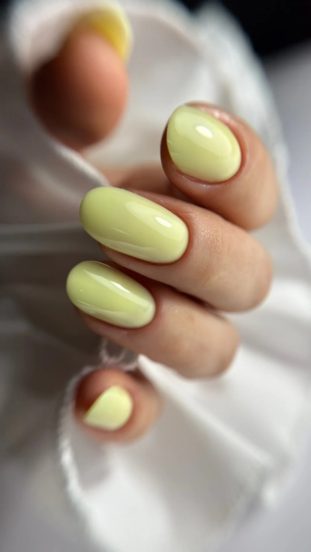 Easy gel Sorbet en pot - Image 2