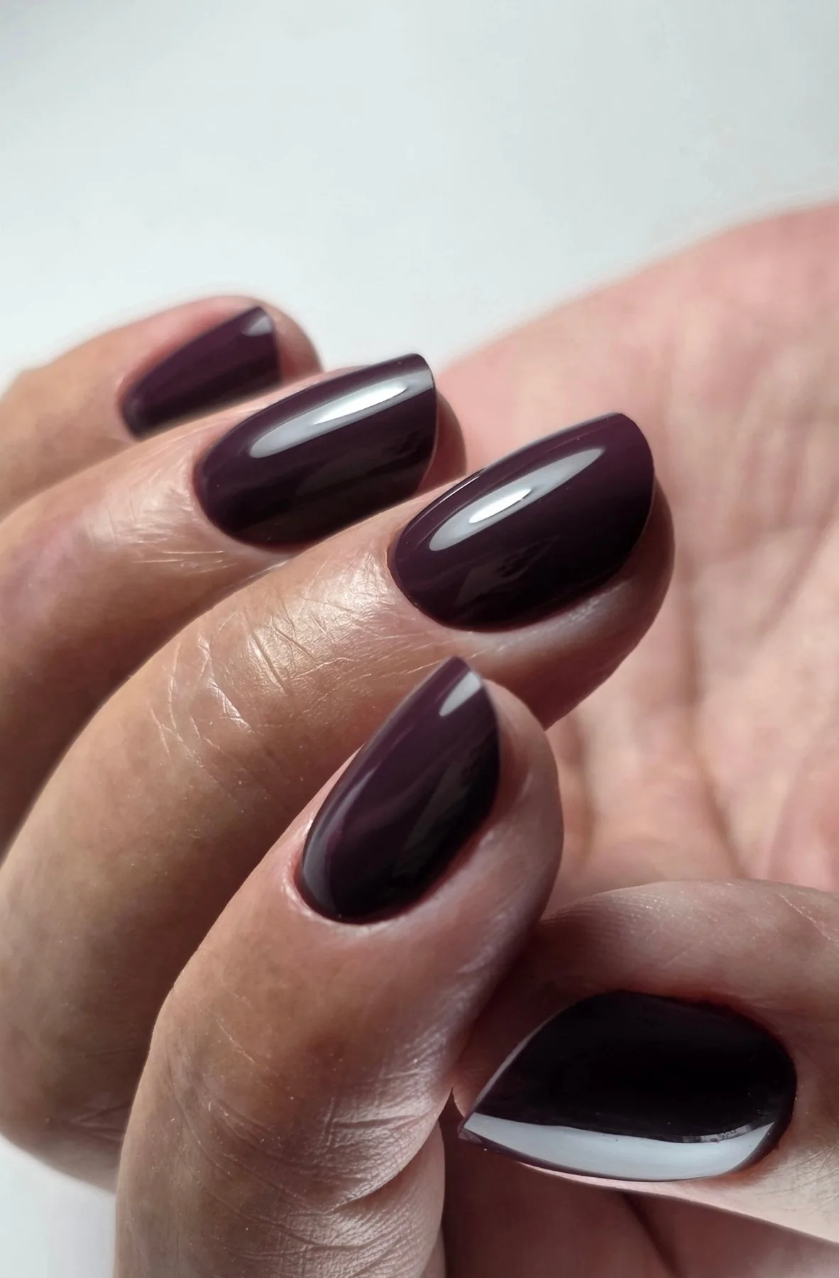 Gel Polish Cake - Image 3