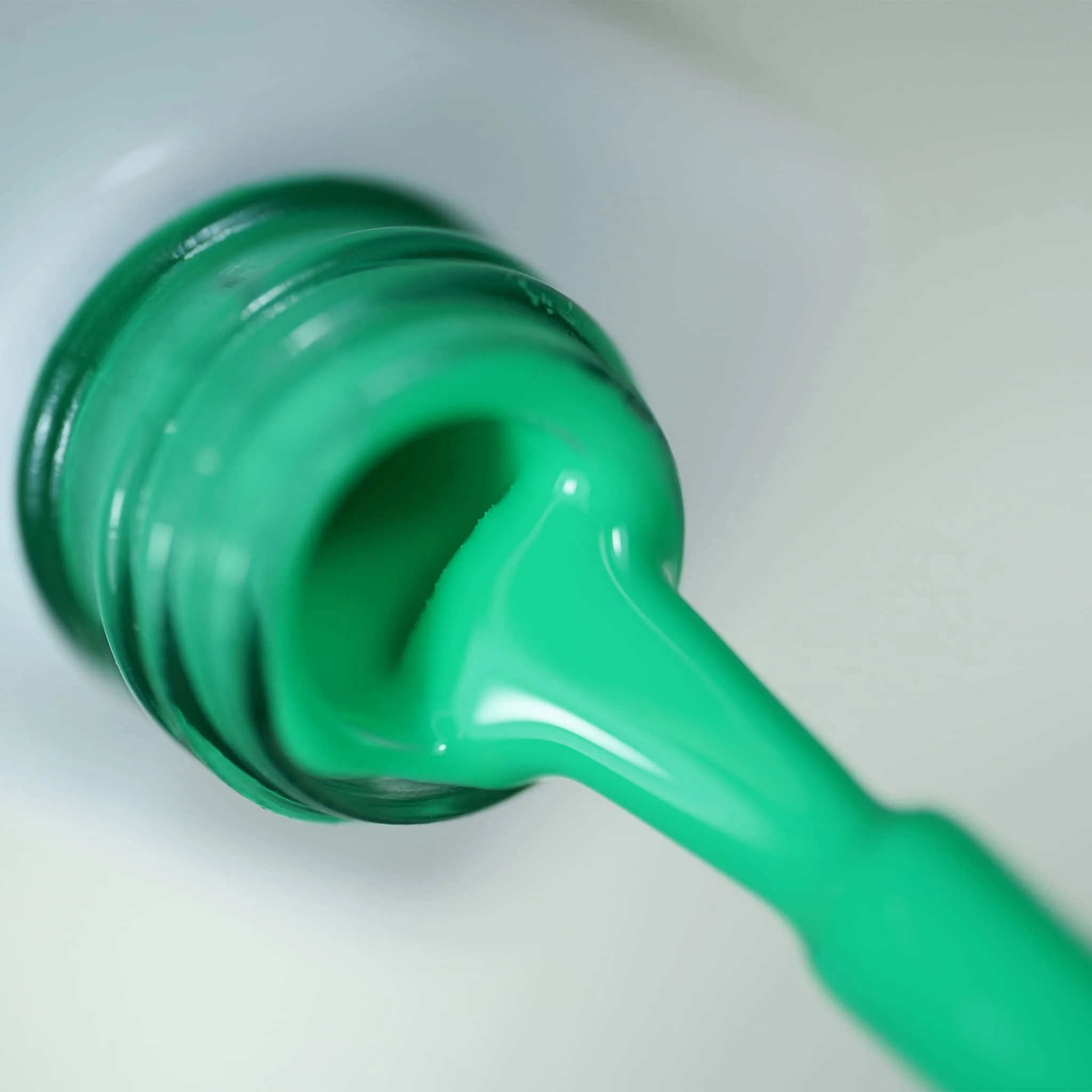 Gel Polish Palm - Image 2