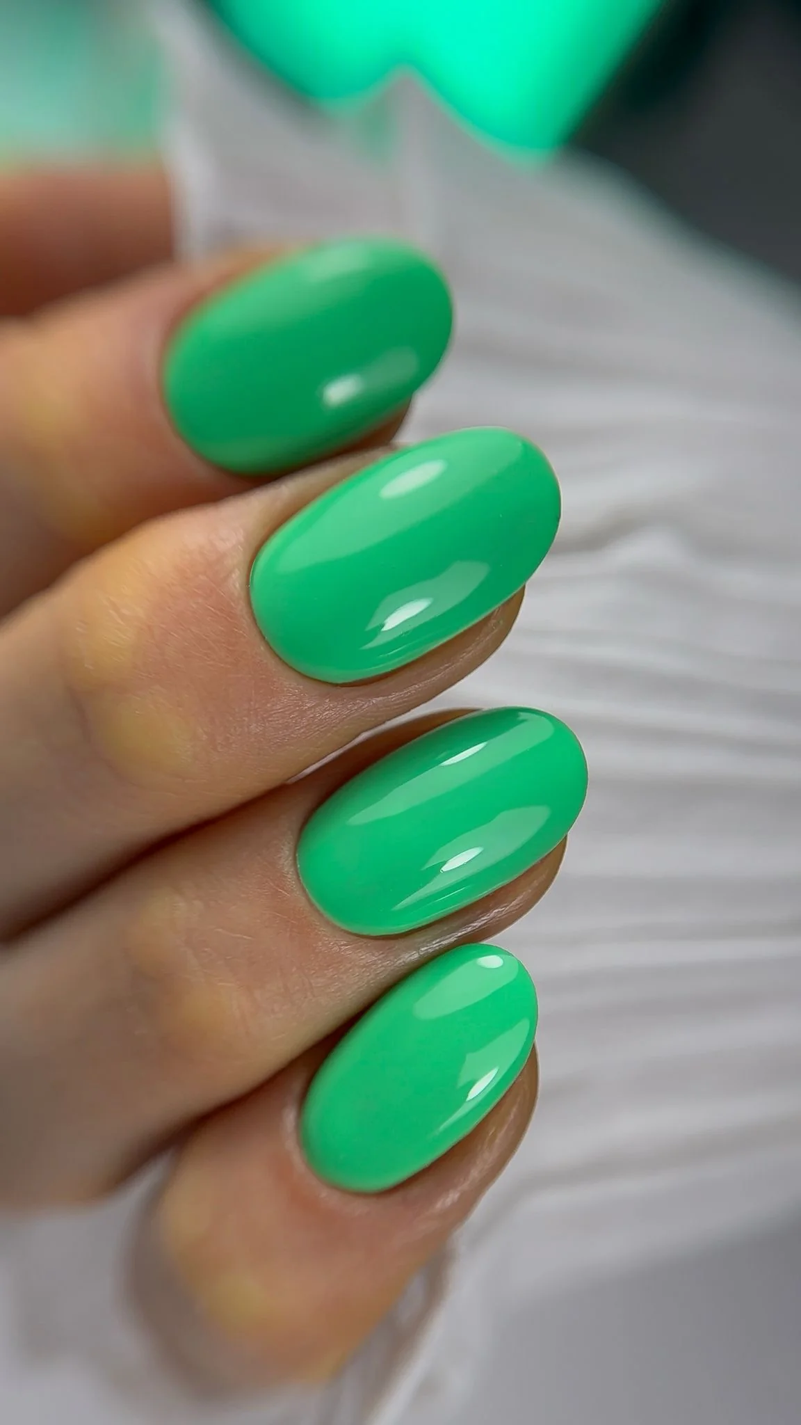 Gel Polish Palm - Image 3